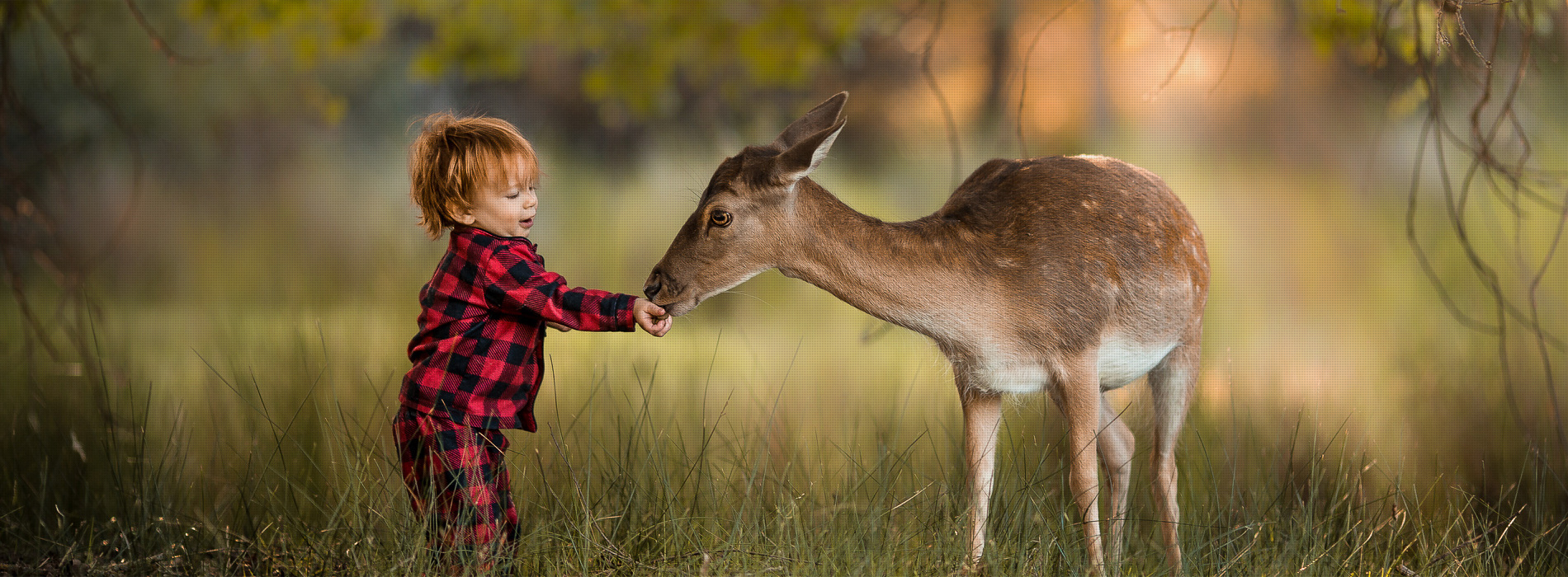 Best Website Template